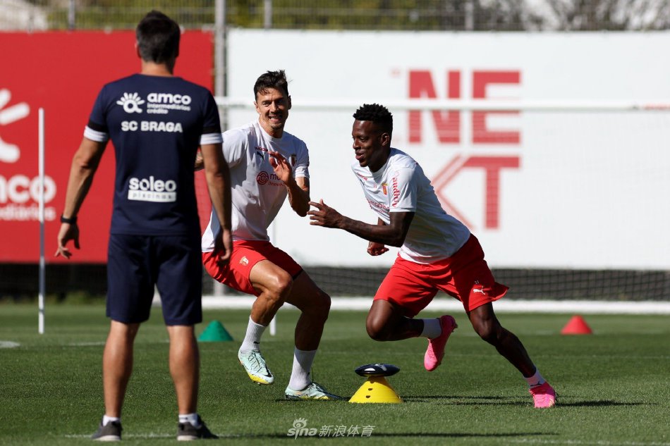 供了丰富的 供了丰富的